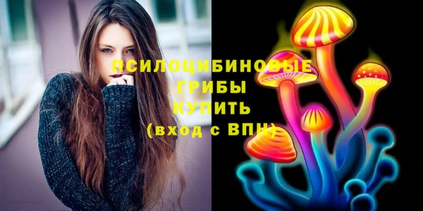 прущий лед Лагань