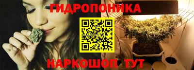 молекула духа Жуковский