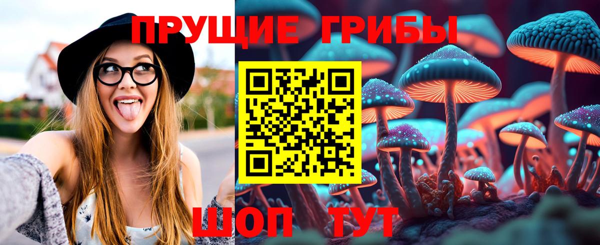 Псилоцибиновые грибы Psilocybine cubensis  Псилоцибиновые грибы GOLDEN TEACHER  Холмск  Вход с VPN 